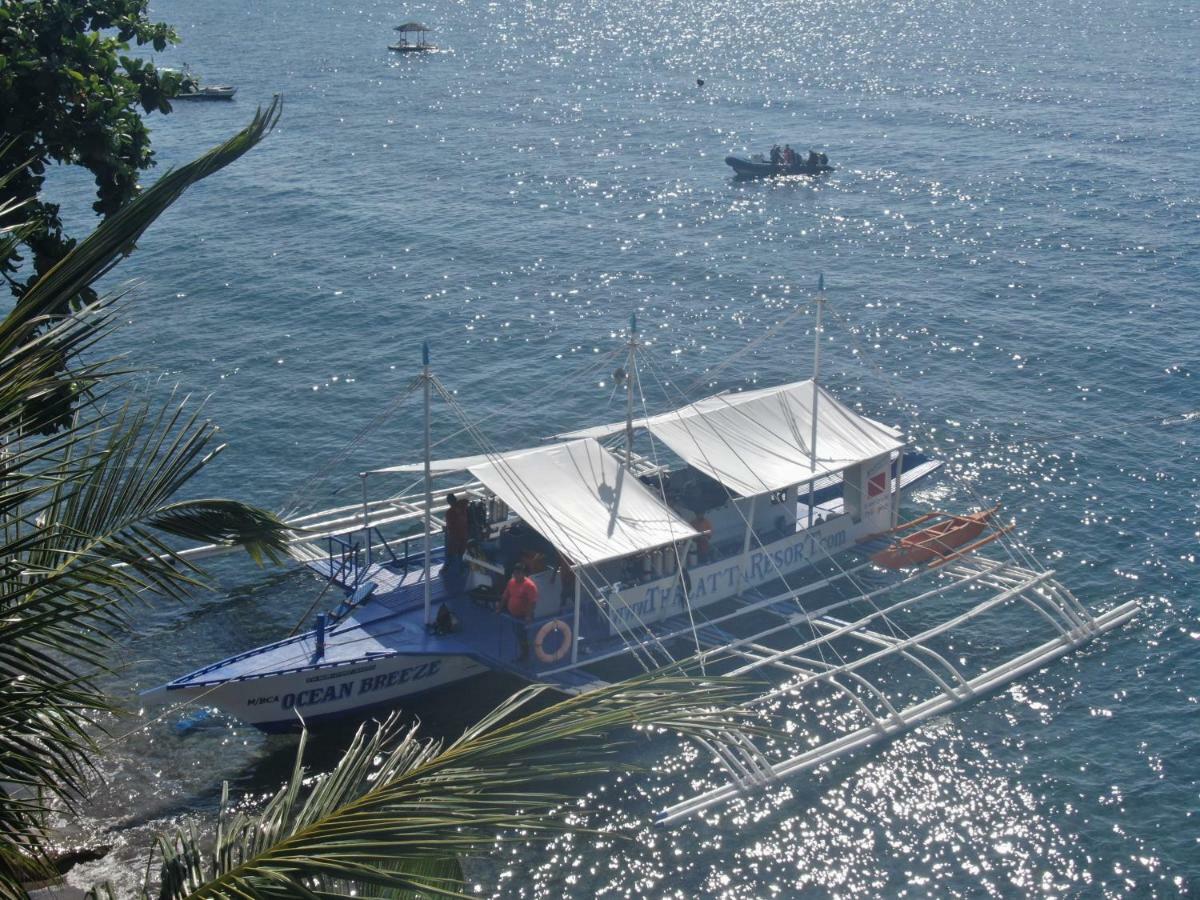 タラタ リゾート Zamboanguita  エクステリア 写真