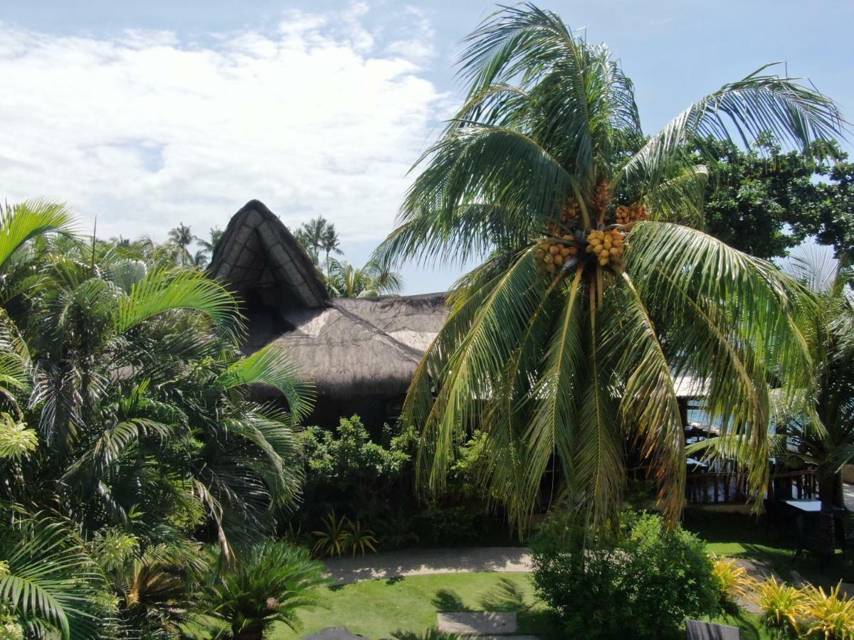 タラタ リゾート Zamboanguita  エクステリア 写真