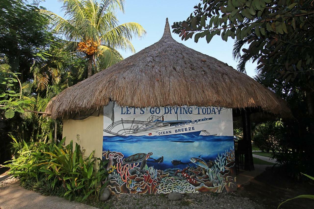 タラタ リゾート Zamboanguita  エクステリア 写真