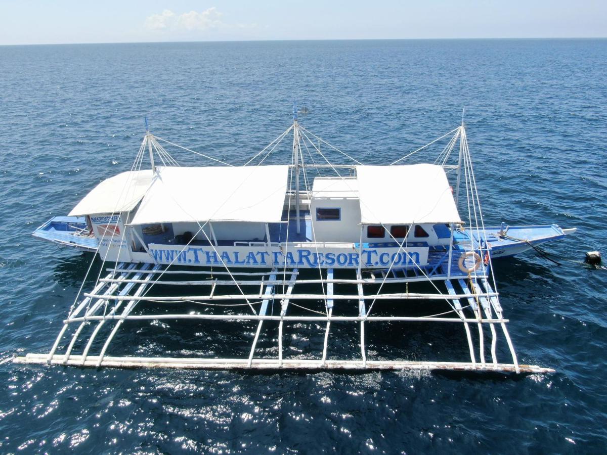 タラタ リゾート Zamboanguita  エクステリア 写真